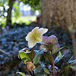 Bed & Breakfast Wood, Food & Alphen (North Brabant)
