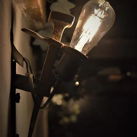 Wood, Food & Alphen (North Brabant)