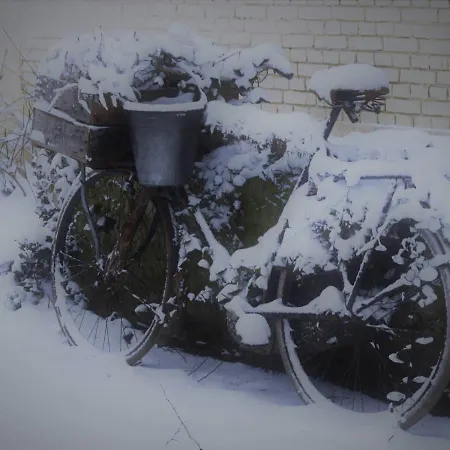 Bed and breakfast Wood, Food & Alphen (North Brabant)