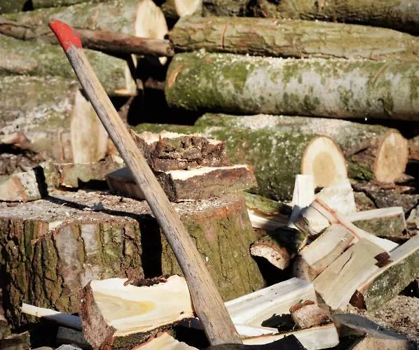 Nocleg ze śniadaniem Wood, Food & 3*