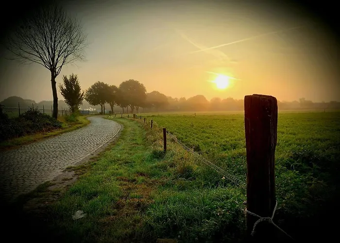 Wood, Food & Alphen (North Brabant)