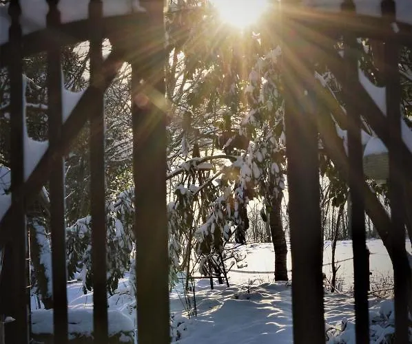 Wood, Food & Couette-café Alphen (North Brabant)