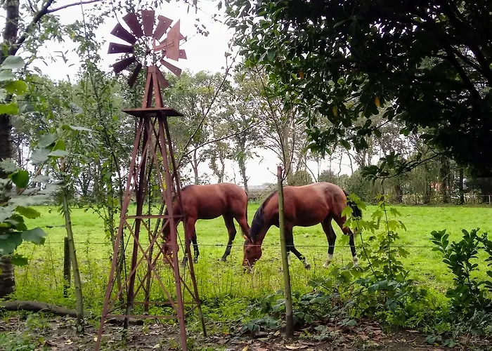 Wood, Food & Couette-café 3*