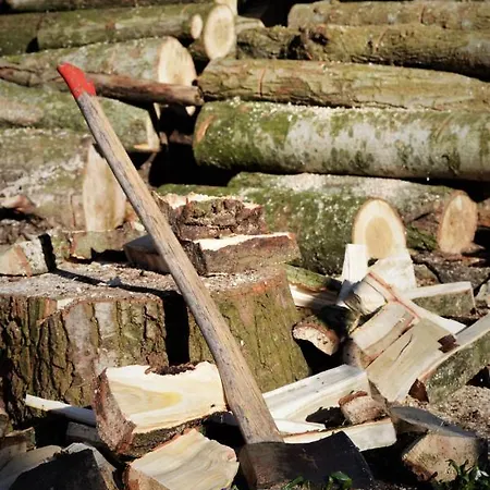 Bed & Breakfast Wood, Food & 3*