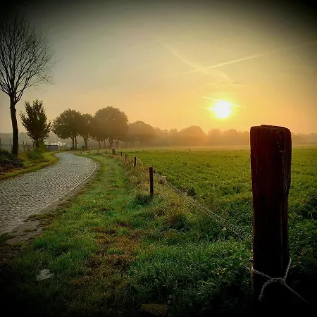 Wood, Food & Alphen (North Brabant)