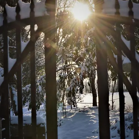 Wood, Food & Bed & Breakfast Alphen (North Brabant)