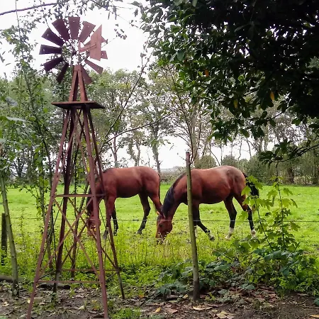 Wood, Food & Bed & Breakfast 3*