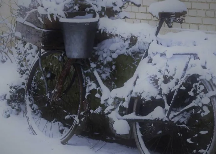 Panzió Wood, Food & Alphen