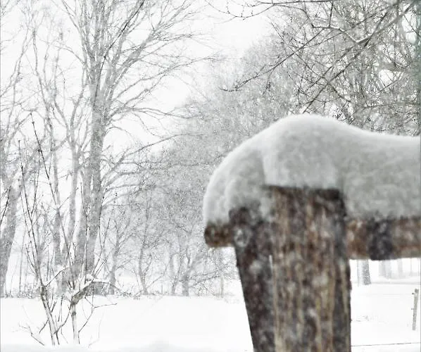 Wood, Food & 3* Alphen