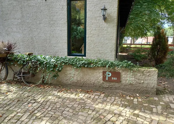 Panzió Wood, Food & Alphen